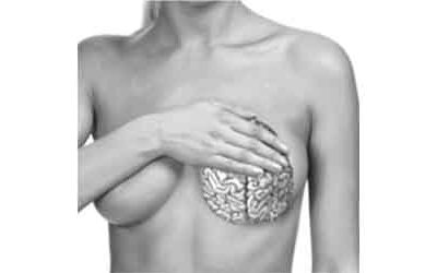 Quand le cerveau devient masculin